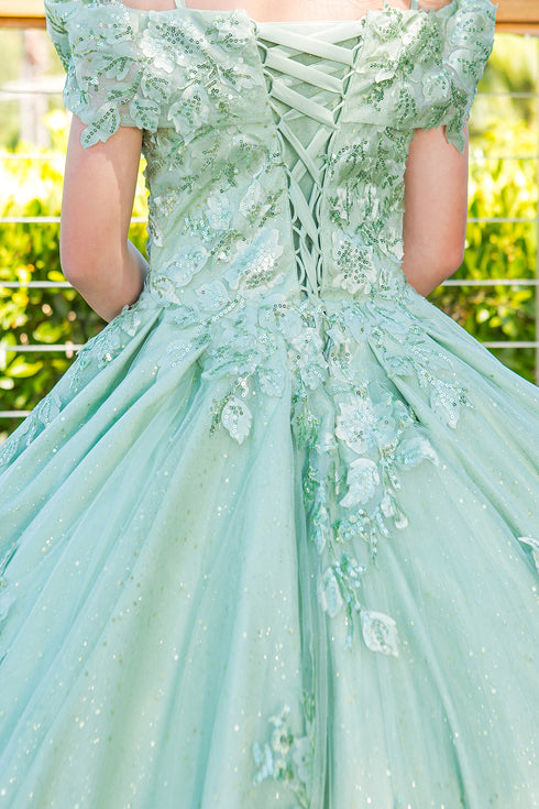 Girls Bliss Sweetheart Sequin Glitter Lace Train Ball Gown 2-16